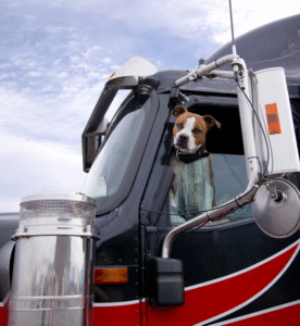pet friendly trucking companies